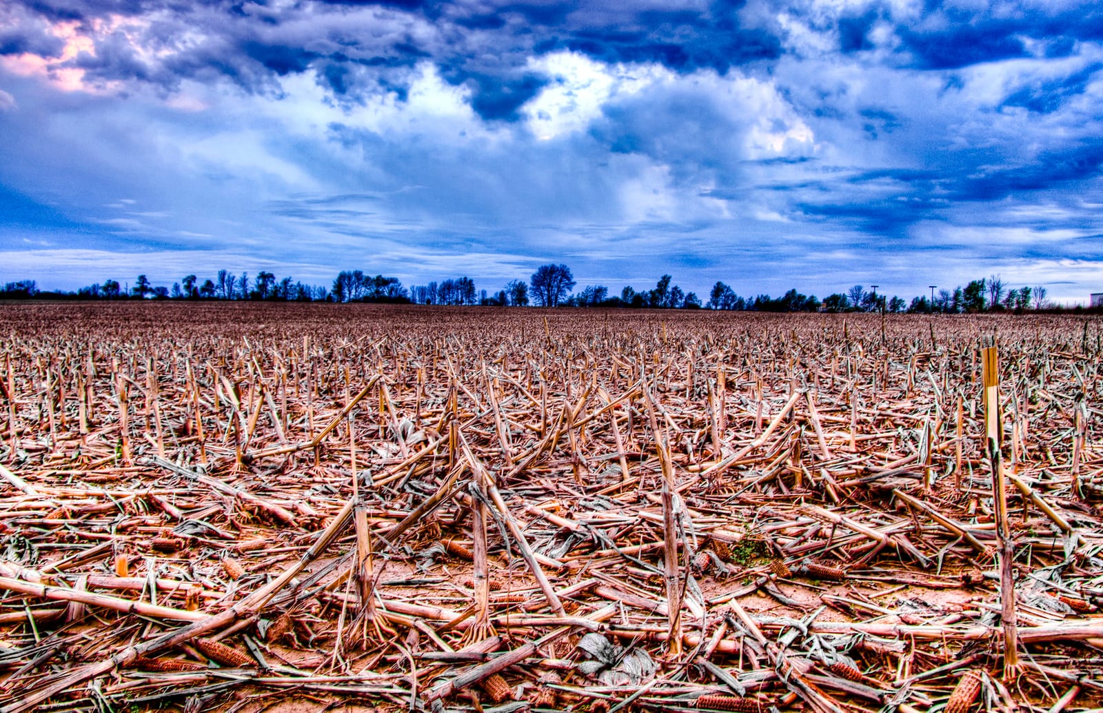 Sunset over an Indiana cornfield.